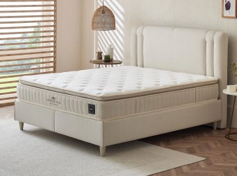 COMFORT PLUS V.2 3L SET 